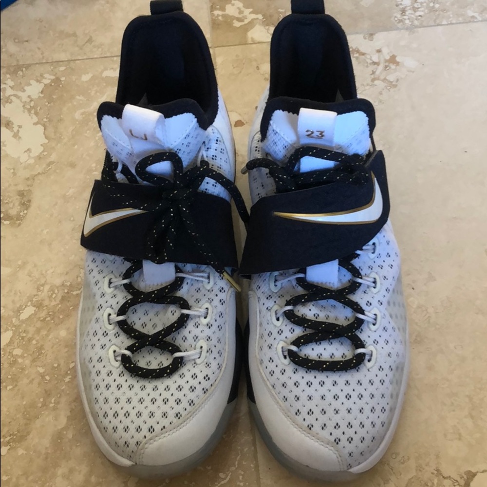 Lebron James Basketball Shoes